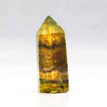 Load image into Gallery viewer, Bumblebee Jasper Towers