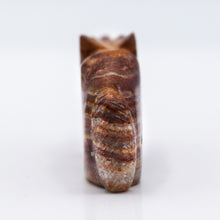 Load image into Gallery viewer, Zuni Bear Totem Animal