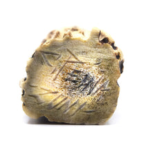 Load image into Gallery viewer, Zuni squirrel Totem Animal