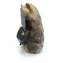 Load image into Gallery viewer, Green Tourmaline in Smoky Quartz
