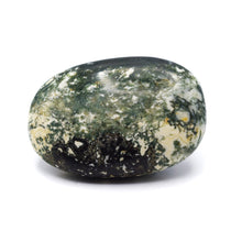 Load image into Gallery viewer, Tree/Dendritic Agate Gallet