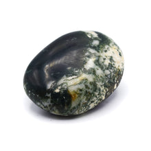 Load image into Gallery viewer, Tree/Dendritic Agate Gallet