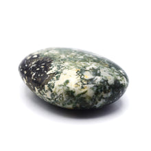 Load image into Gallery viewer, Tree/Dendritic Agate Gallet