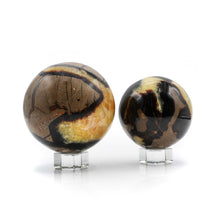 Load image into Gallery viewer, Septarian Spheres
