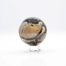 Load image into Gallery viewer, Septarian Spheres
