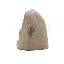 Load image into Gallery viewer, Standing Druzy Amethyst
