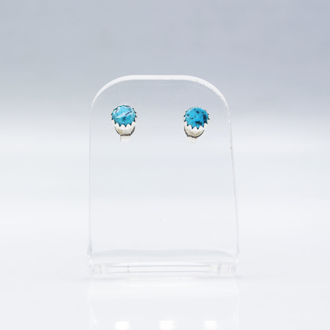 Zuni Turquoise Earrings in 925 Silver
