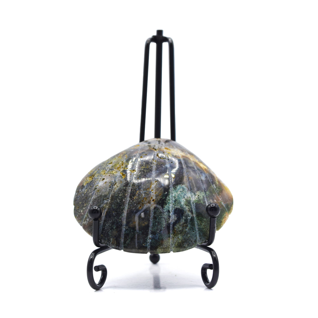 Ocvean Jasper Shell