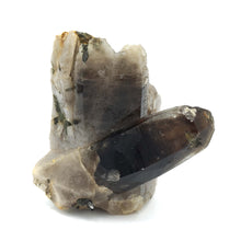 Load image into Gallery viewer, Green Tourmaline in Smoky Quartz
