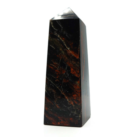 Black Tourmaline with Hematite Point