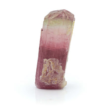 Load image into Gallery viewer, Watermelon Tourmaline from Paprok Afganastan
