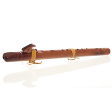 Load image into Gallery viewer, Condor Bass "Dm" Spanish cedar
