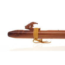 Load image into Gallery viewer, Condor Bass "Dm" Spanish cedar
